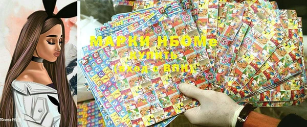 сатива Кулебаки