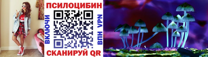Галлюциногенные грибы Cubensis  Лебедянь 